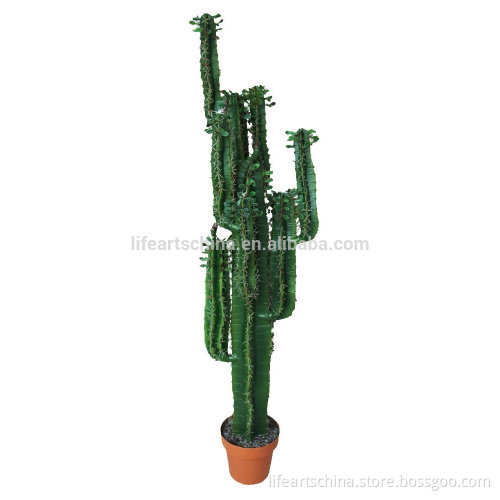 fresh design of artificial cactus for window display, tropical plant, artificial plant